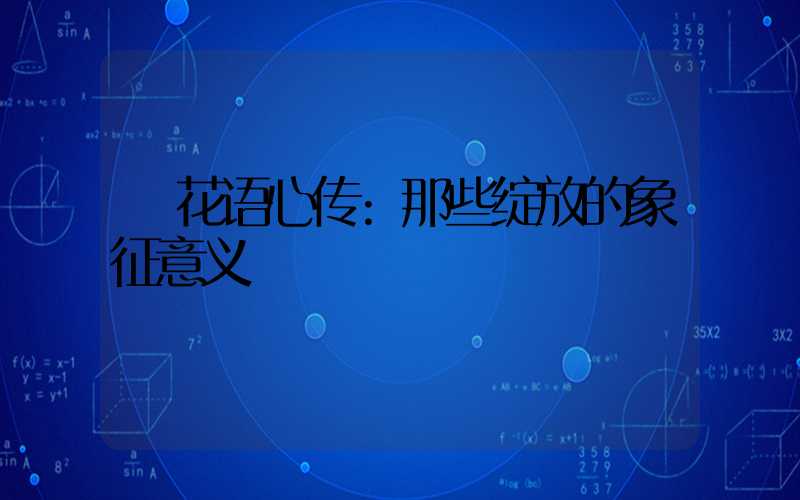 花语心传:那些绽放的象征意义